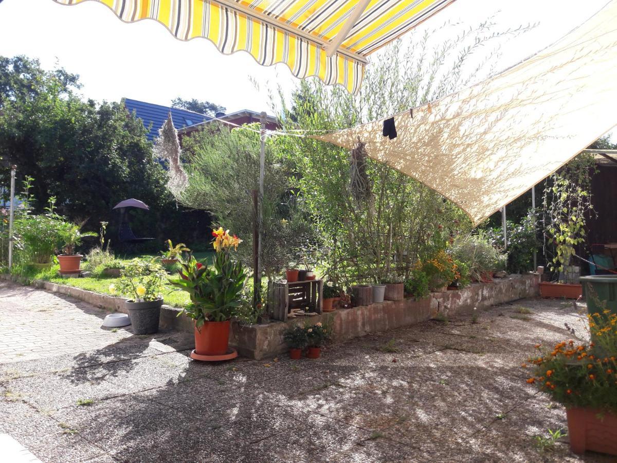 Georgensgmund Ferienwohnung Lerchennest מראה חיצוני תמונה
