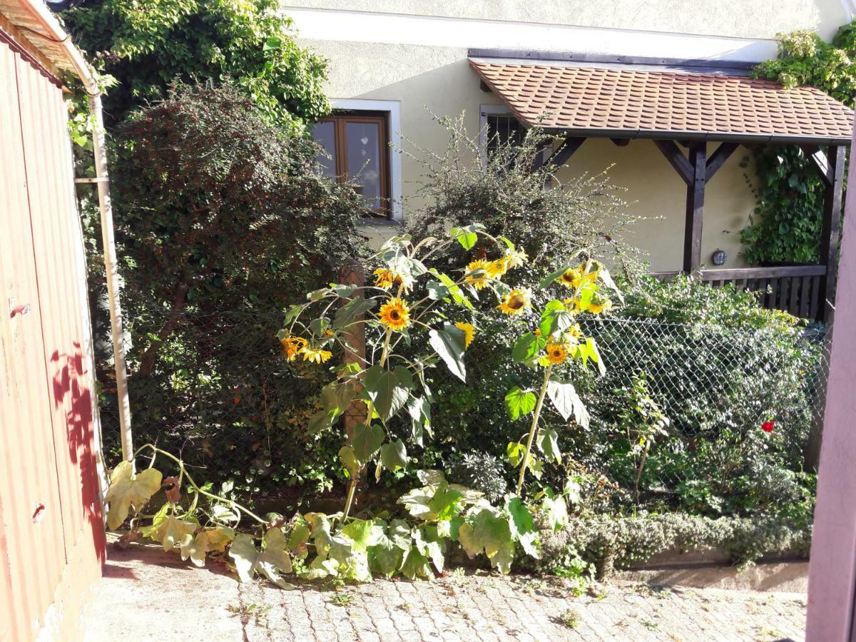 Georgensgmund Ferienwohnung Lerchennest מראה חיצוני תמונה